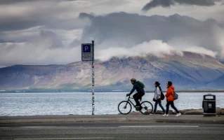 {title}