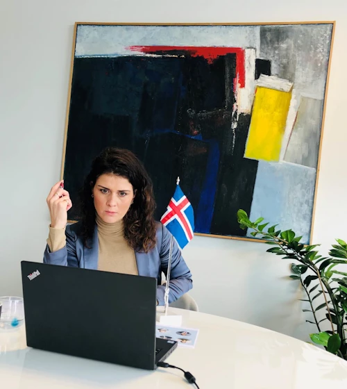 Þórdís Kolbrún á fjarfundinum