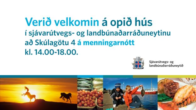 Menningarnótt 2009 jpg